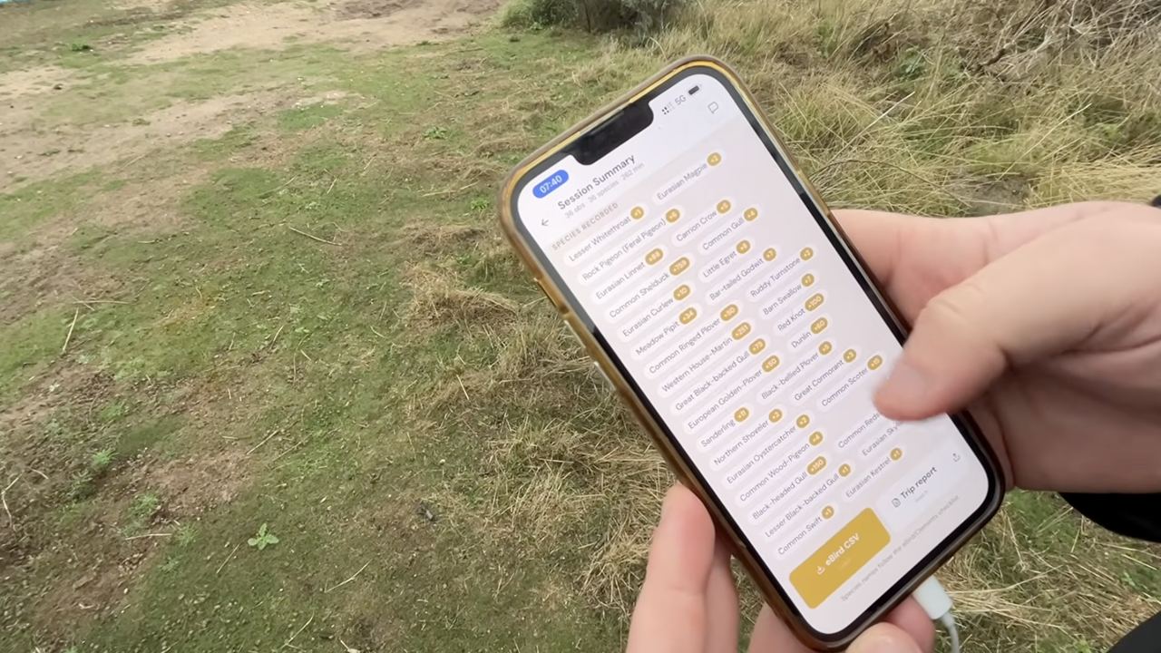 A phone held over rough grass at Spurn, showing a BirdScribe session summary listing the species seen, with an eBird CSV button.